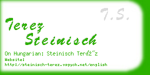 terez steinisch business card